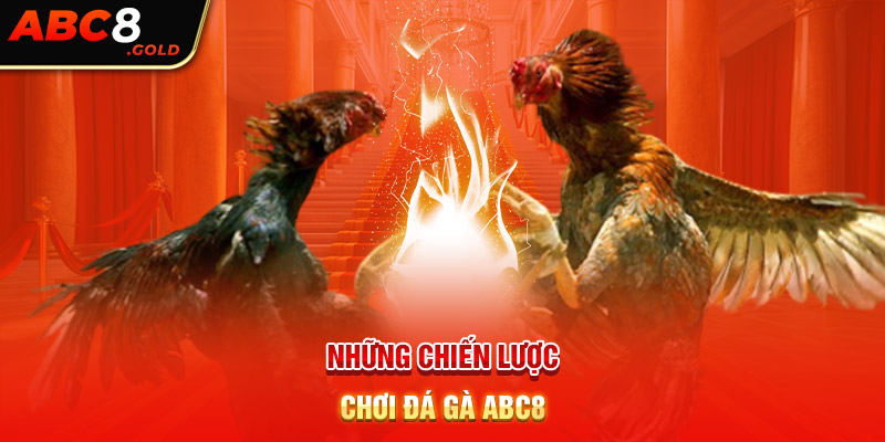 Những chiến lược chơi đá gà ABC8 thắng lớn dễ dàng