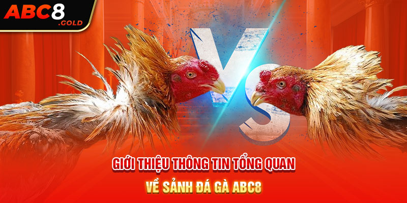 Giới thiệu thông tin tổng quan về sảnh đá gà ABC8